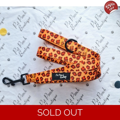 Spiced Honey Leopard Dog Lead - Reversible